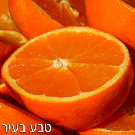 תפוז טבורי אורגני - החל מ-1 קג