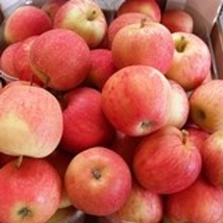 תפוח עץ גאלה - אורגני -יבוא -החל מ- 1 ק"ג