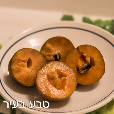 ספודילה ללא ריסוס - חבילה של כ-400 גרם