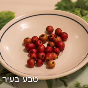 גרגר פנמה - ללא ריסוס - חבילה של כ-200 גרם