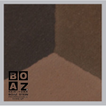 צללית אבן E73