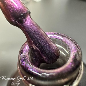 לק ג'ל 219 - Power Gel סדרת עין החתול
