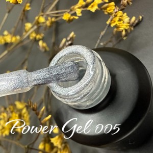 לק ג'ל 005 - Power Gel