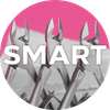 סדרת SMART