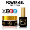 DIP SYSTEM