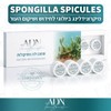 סדרת SPONGILLA SPICULES