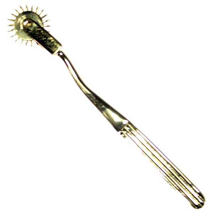 גלגל כאב מקצועי - Wartenberg wheel