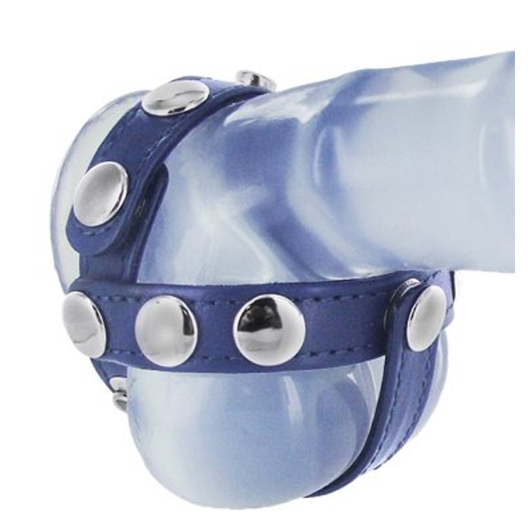 רתמת אשכים כחולה מעור