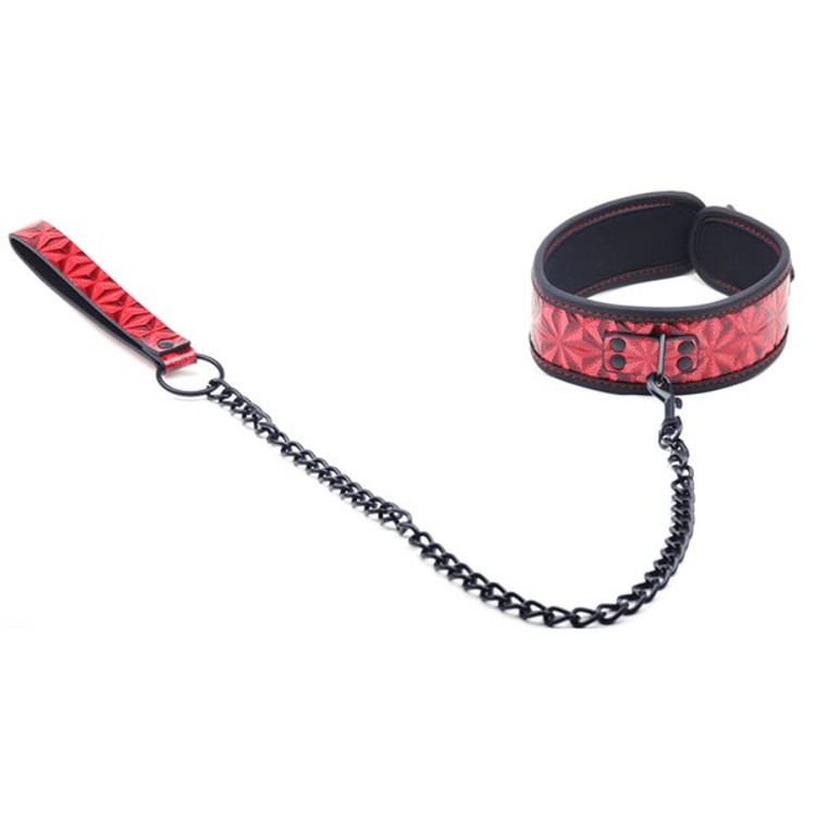 קולר איכותי מרופד עם שרשרת הובלה