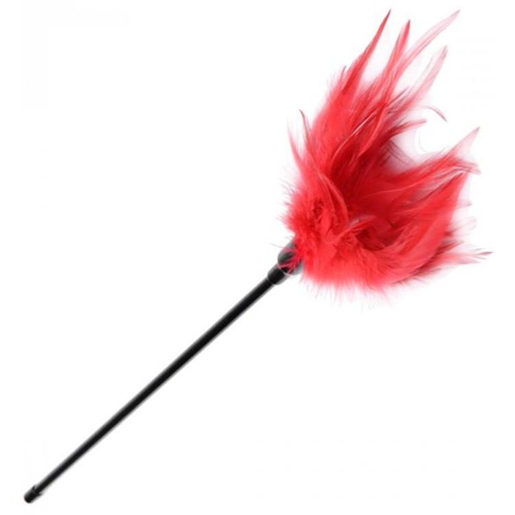 נוצת דגדוג עדינה עם מקל