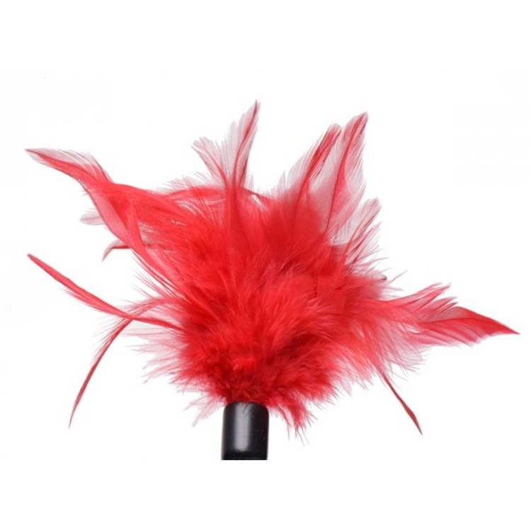 נוצת דגדוג עדינה עם מקל