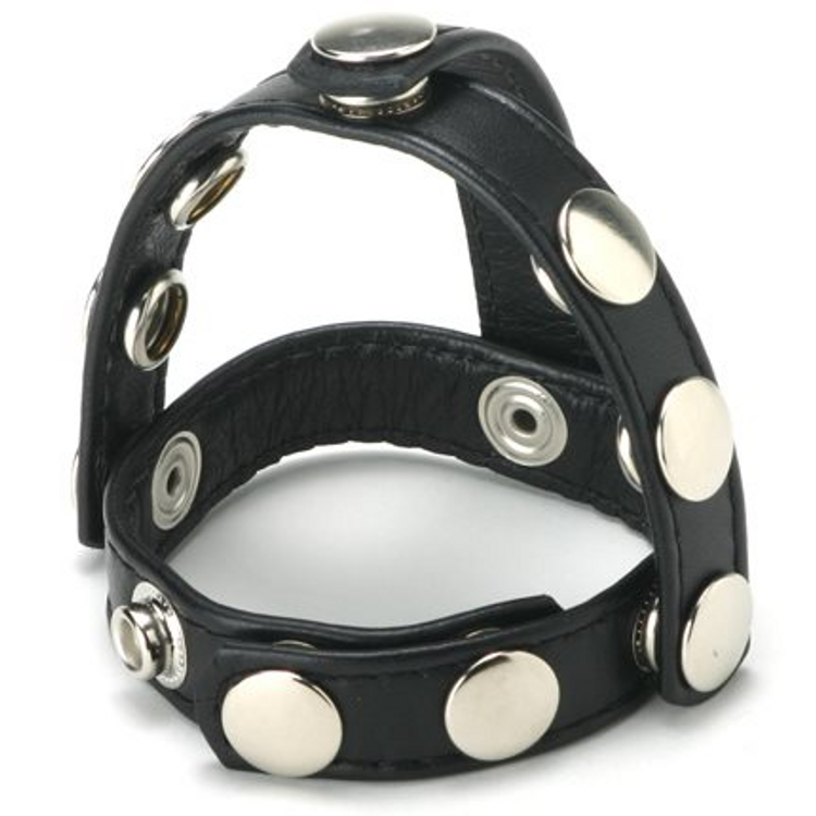 רתמת אשכים שחורה מעור