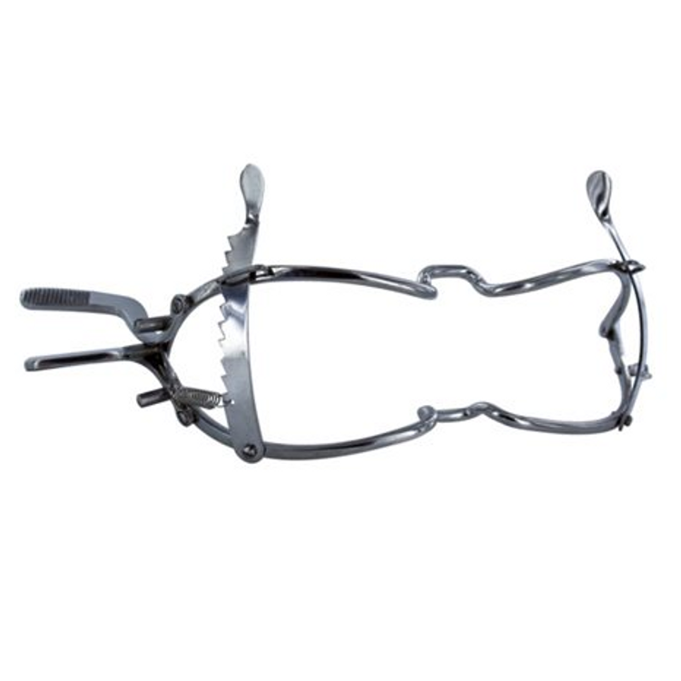 מחסום פה דנטלי וויטהאד