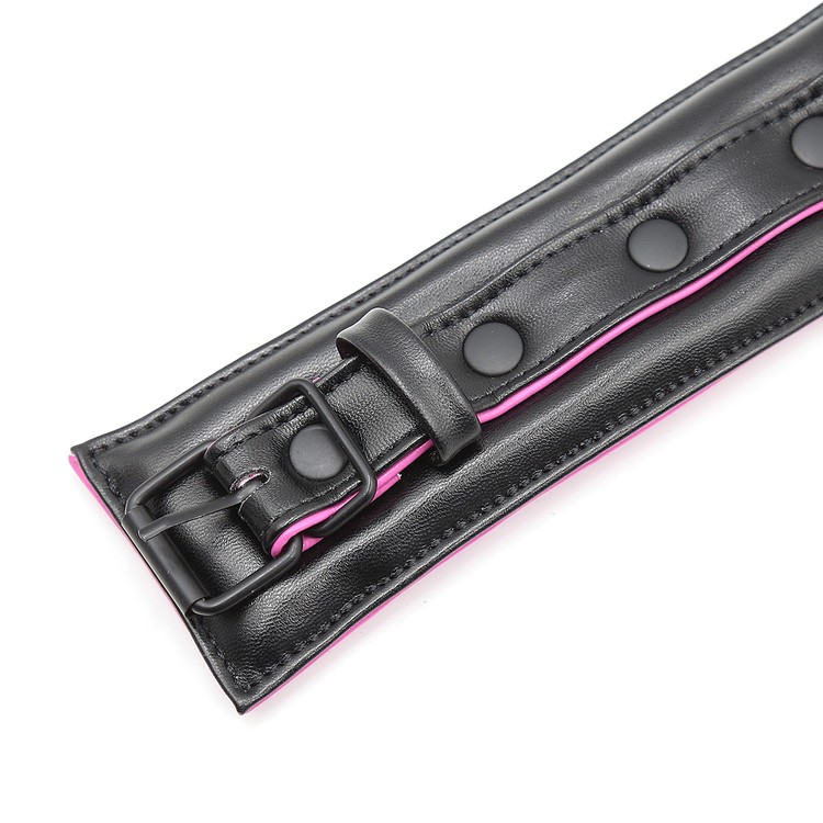 קולר איכותי מרופד במיוחד עם שרשרת הובלה