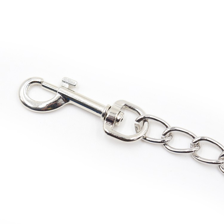 שרשרת ארוכה ממתכת לאזיקים