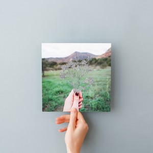 הדפסה איכותית של תמונות עם למינציה