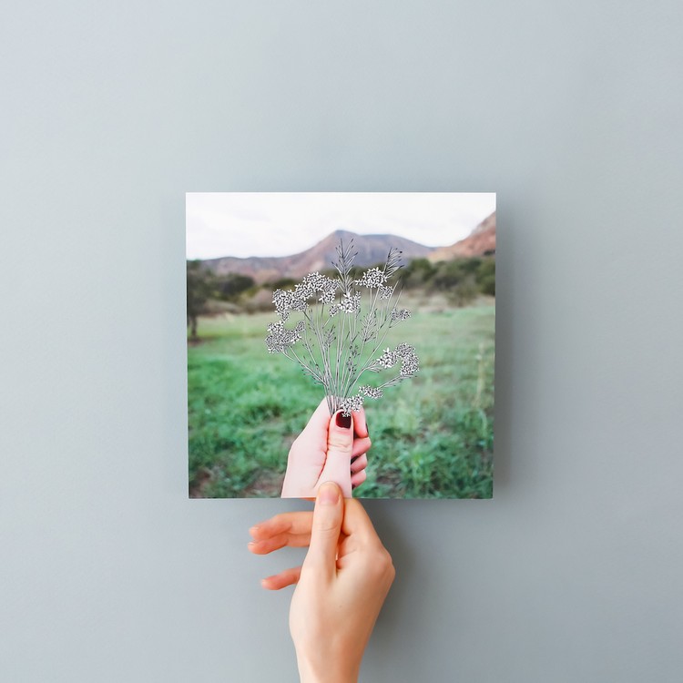 הדפסה איכותית של תמונות עם למינציה