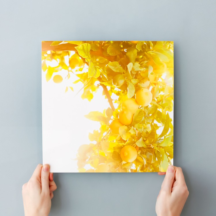 הדפסה איכותית של תמונות עם למינציה