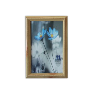 מסגרת כחולה