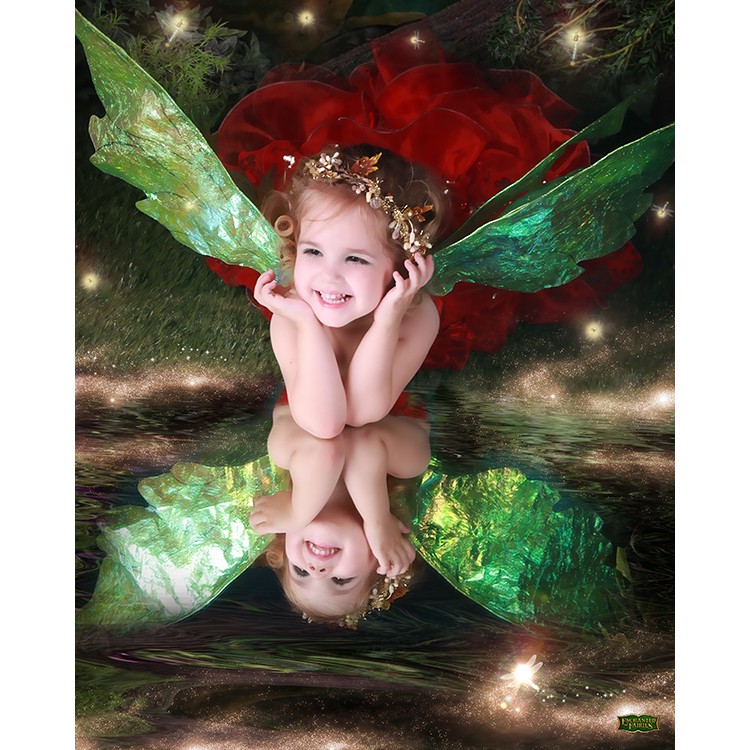 פיתוח אבנים