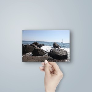 הדפסת תמונות 10X15cm