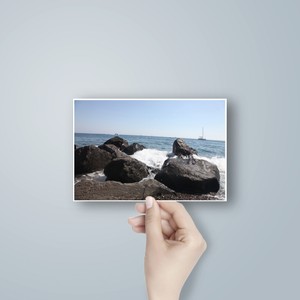 הדפסת תמונות 10X15cm