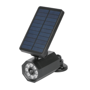 חיישן תנועה מצלמה דמה