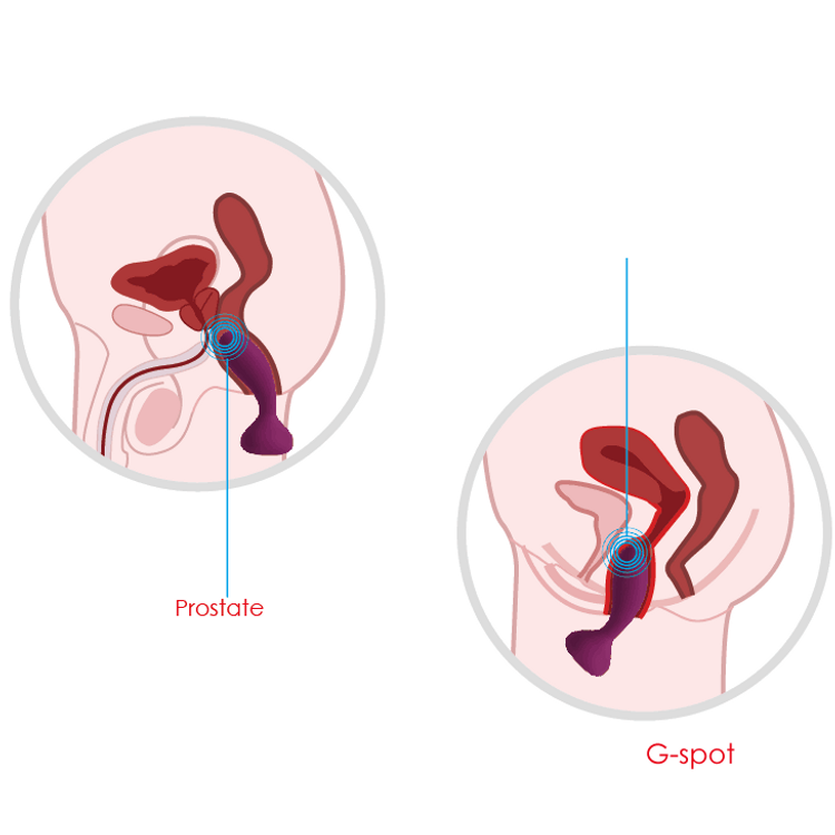 SVAKOM Julie פלאג אנאלי חכם עם שלט