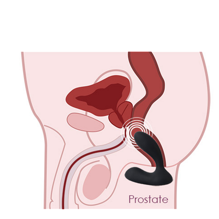 Vick פלאג אנאלי רוטט זוגי עם שלט