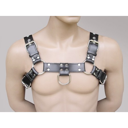 H premium leather bulldog harness without padding