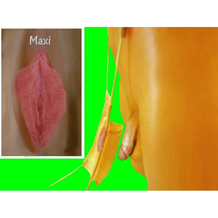 תחתון סיליקון בצורת וגינה נשית להלבשה על גבר. צבע רגיל ושפתיים גדולות.