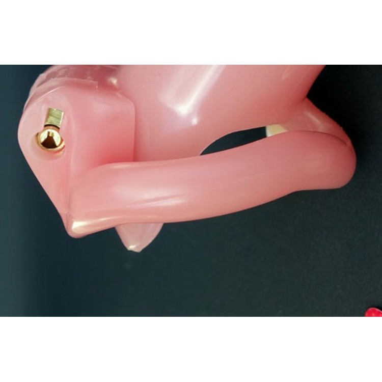 Ring Pink קוקרינג ורוד HolyTrainer