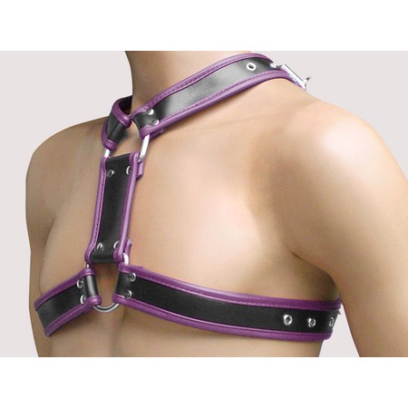 Y-shaped premium black and purple leather​ harness