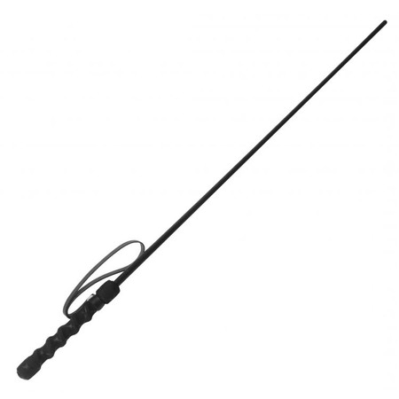 Intense Impact Black Cane Whip Made of Plastic by Kink Industries​