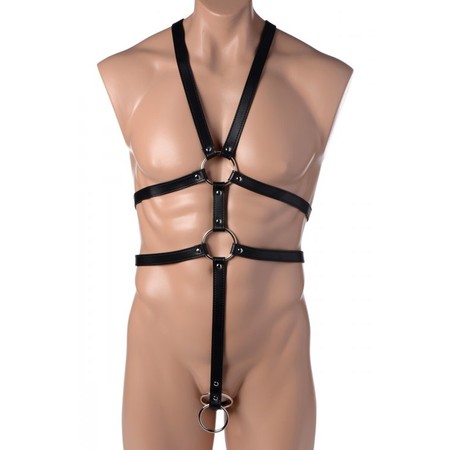 Full body harness for men including 2 rings for the penis​