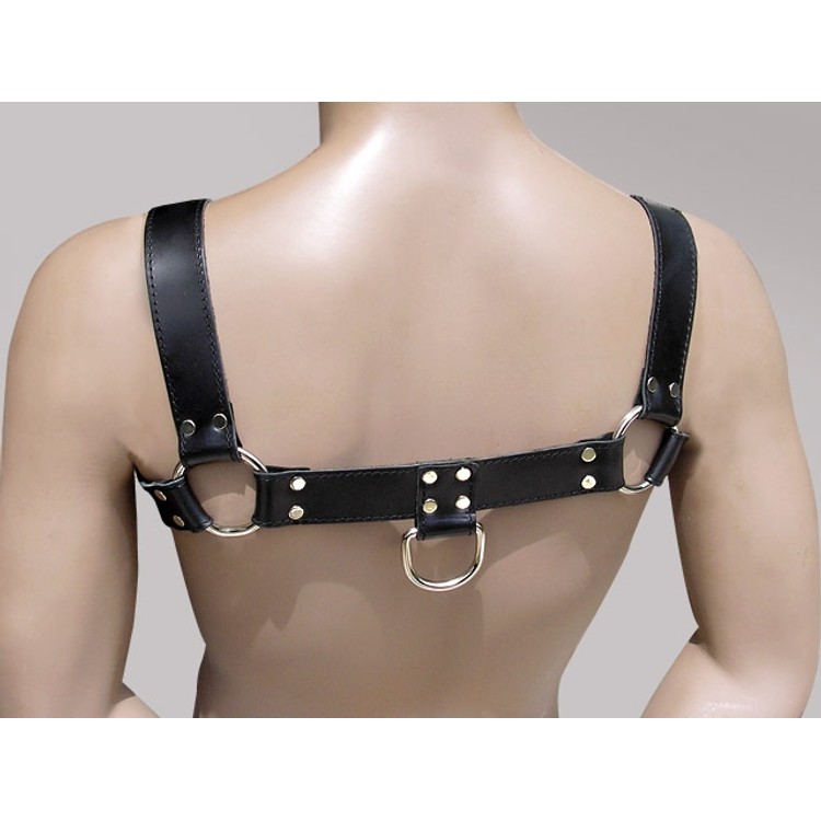 Bulldog H0 הרנס שחור עור פרימיום ללא ריפוד