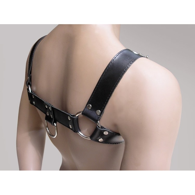 Bulldog H0 הרנס שחור עור פרימיום ללא ריפוד