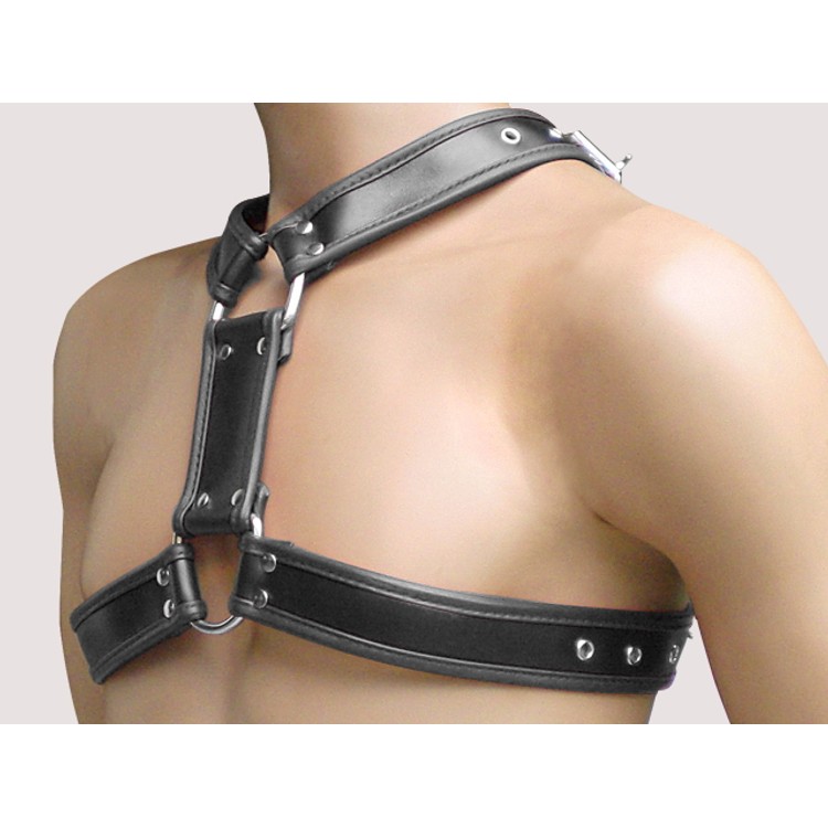 הרנס בצורת Y עור פרימיום בצבע שחור