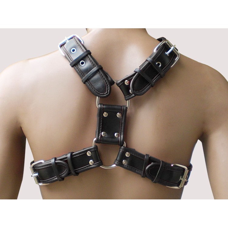 הרנס בצורת Y עור פרימיום בצבע שחור