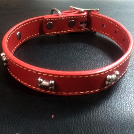 Red leather collar for dog games​