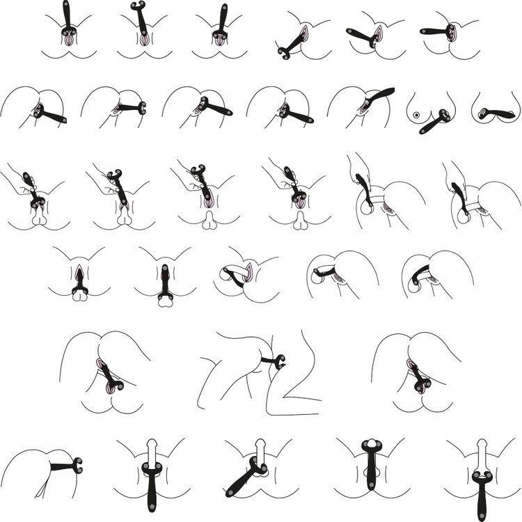 MultiFun 3 וויברטור זוגי כחול