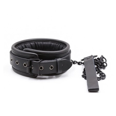 Buckle Style Vegan Leather Collar and Leash