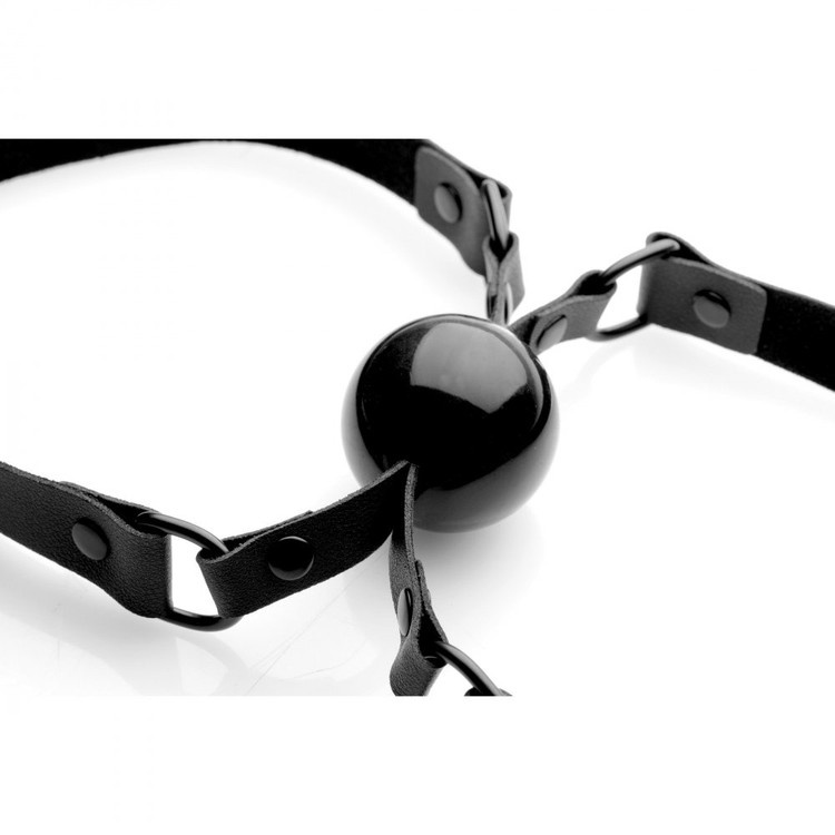 Doppleganger מחסום פה לשני נשלטים Master Series