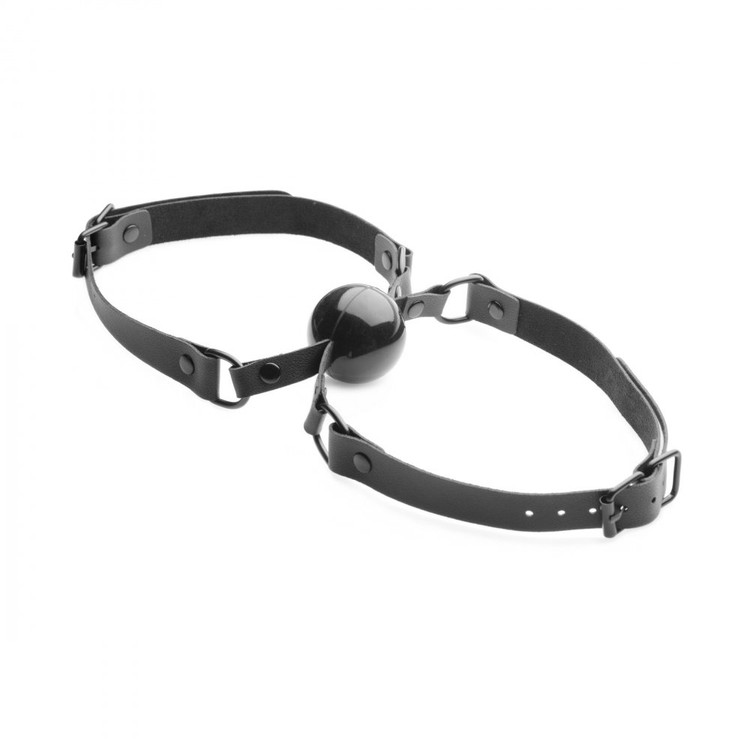 Doppleganger מחסום פה לשני נשלטים Master Series