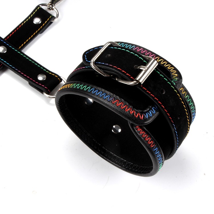 סט בונדאג' Hog Tie עם גימור צבעוני