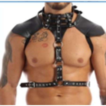 Mars Y Chest and Shoulder Harness with Pads
