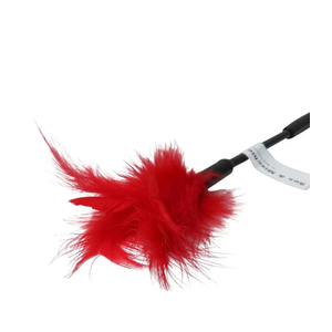 Sex & Mischief Sexy Red Tickling Feather