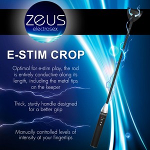 E-Stim Crop שוט רכיבה מחשמל למשחקי סאדו