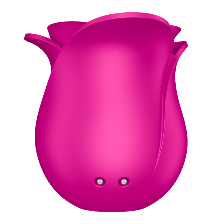 ​​Pro 2 Modern Blossom וויברטור שואב יונק קטן בצורת ורד ​Satisfyer