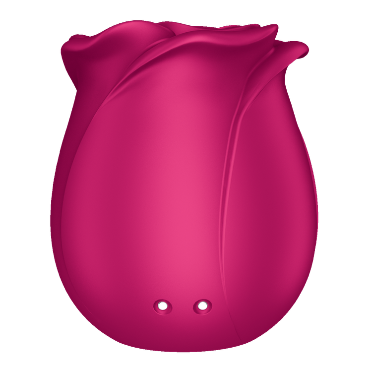 ​Pro 2 Classic Blossom וויברטור ורד ​שואב יונק וטופח Satisfyer